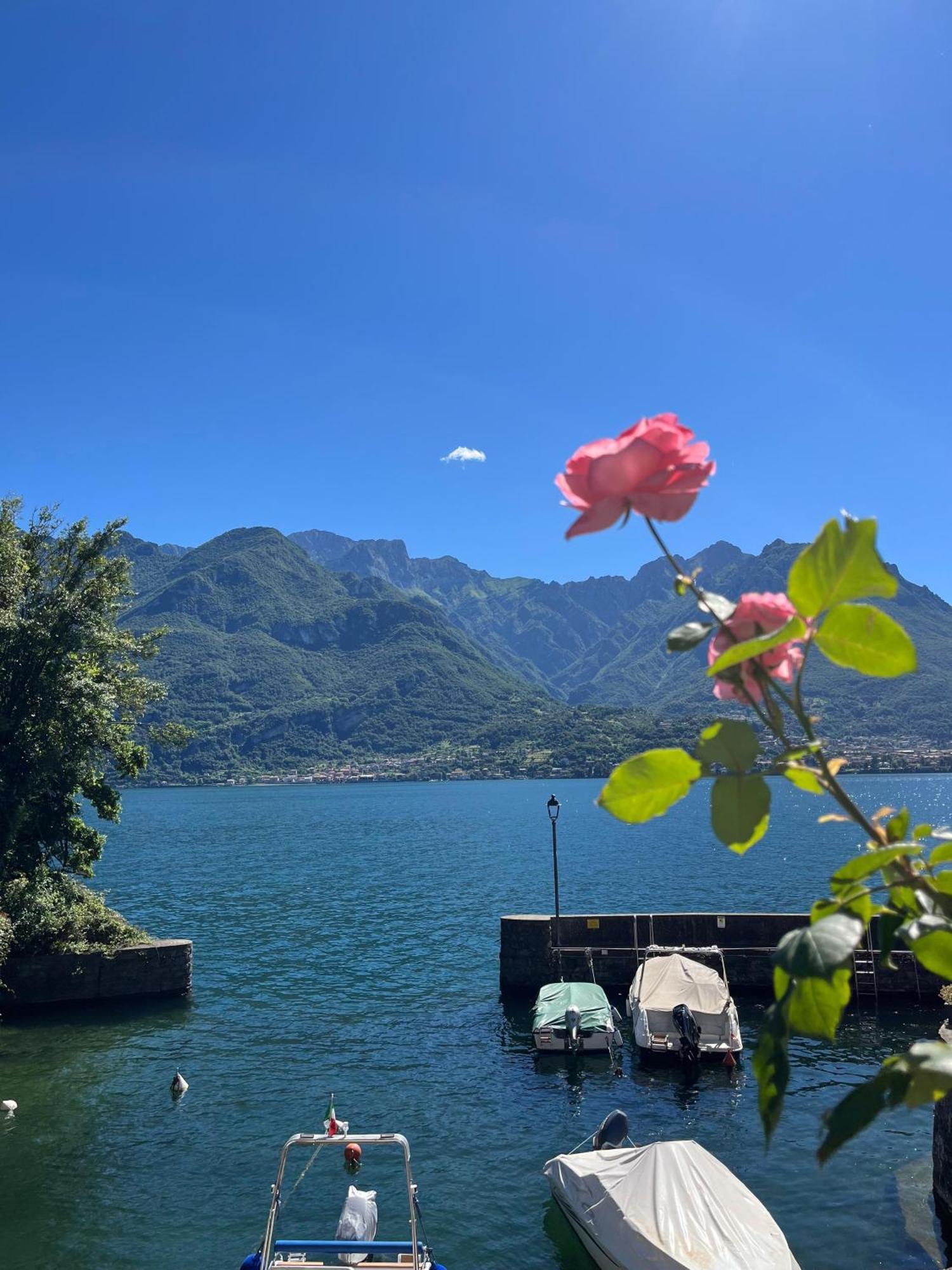 Domus Graziana - Lake Front Oliveto Lario Exterior foto